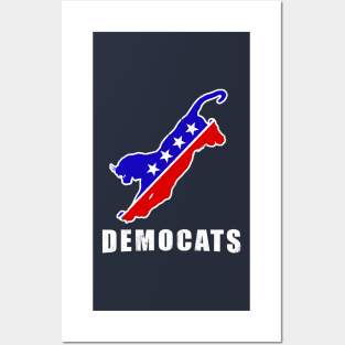 Democats Nasty Woman Vote 2020 Posters and Art